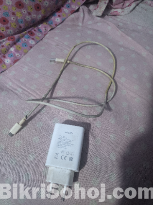 Vivo Y11 charger